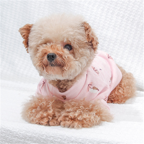 Dog clothes Small Pink Dog