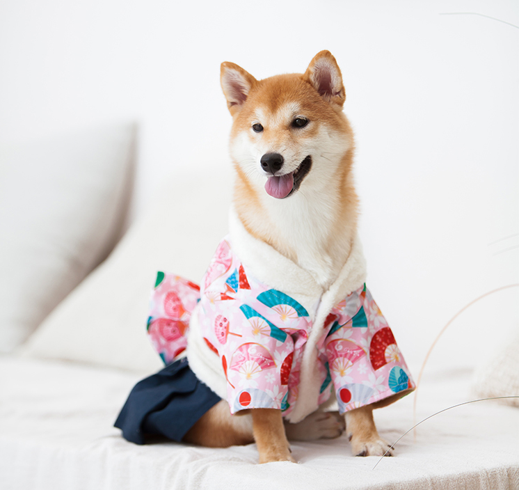 Pets Clothes