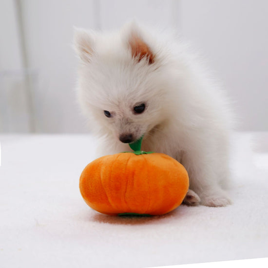 Dog Sounding Pumpkin Plush Toy Small Pink Dog