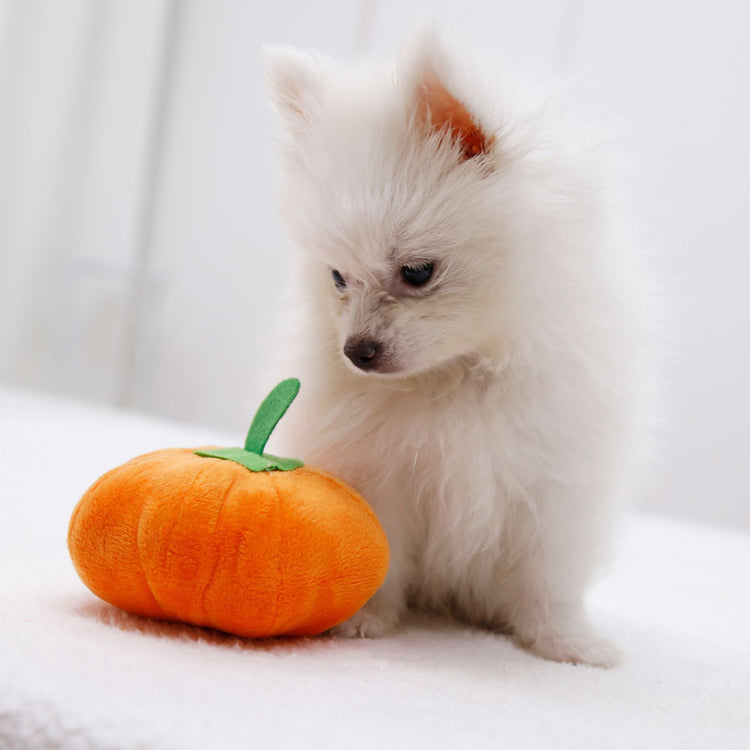 Dog Sounding Pumpkin Plush Toy Small Pink Dog